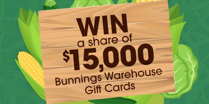 win-1-of-15-$1000-bunnings-gift-cards-we-got-competitions
