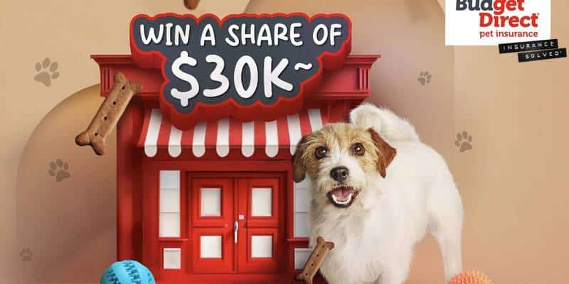 budget-direct-pet-insurance-win-1-of-3-10000-cash-prizes